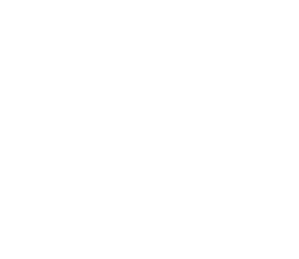 Rapid Cloud - Premium Network
